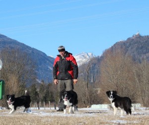 Queen with her pack