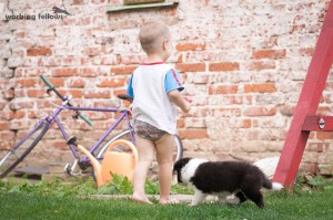 Robin and Boy 1, perect sozialisation with children