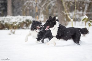 Conny (friend of Alpi) and her best friend Alpi