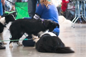 Aimee and Xandro playing