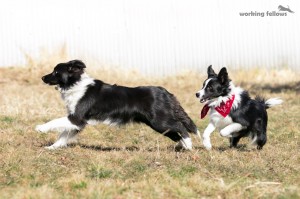 Playing after the show: Aimee and Aico