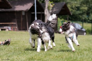 Edik, Cloe & Zolina  