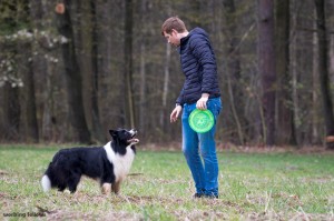 Xandro waiting for his frisbee