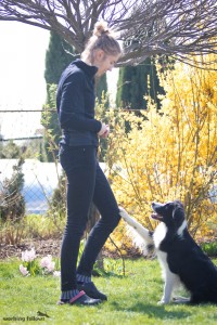 Lily doing some tricks